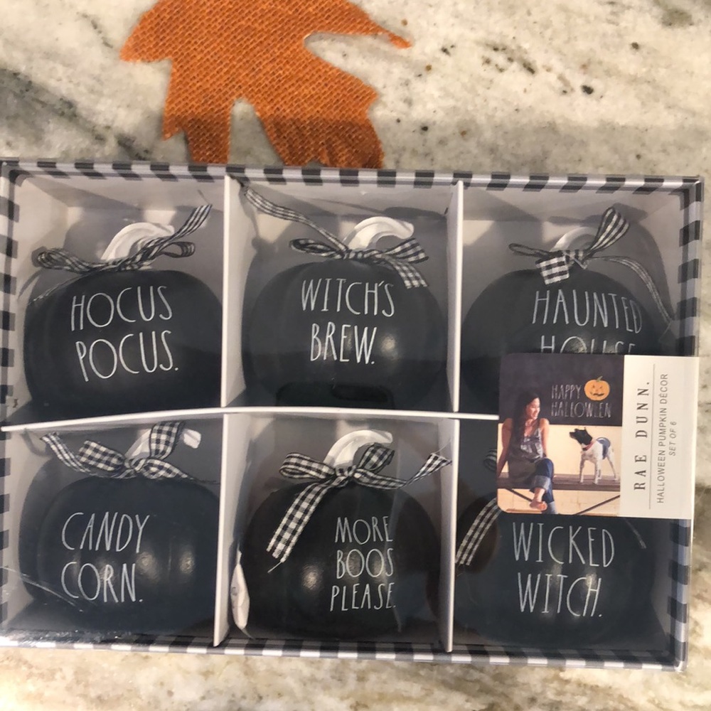 🕸👻 Original Rae Dunn Halloween pumpkin set 🎃 with 6 decorative pumpkins!